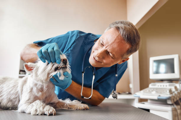 Best Emergency Dental Extractions in Calhoun Falls, SC