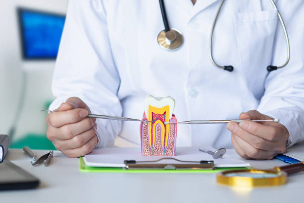Best Emergency Dentist for Knocked-Out Tooth in Calhoun Falls, SC